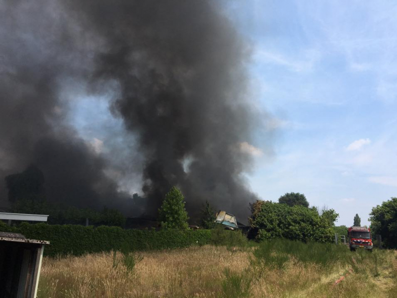 asbest professioneel verwijderen