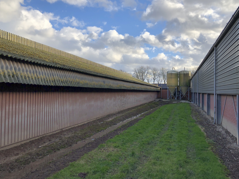 inventas asbestverwijdering